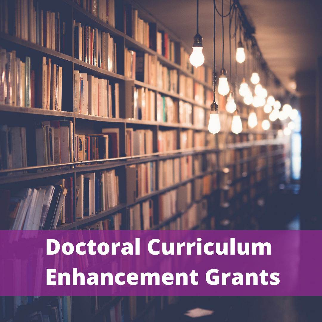(CLOSED) Doctoral Curriculum Enhancement Grants (DCEGs) 2020-2021
