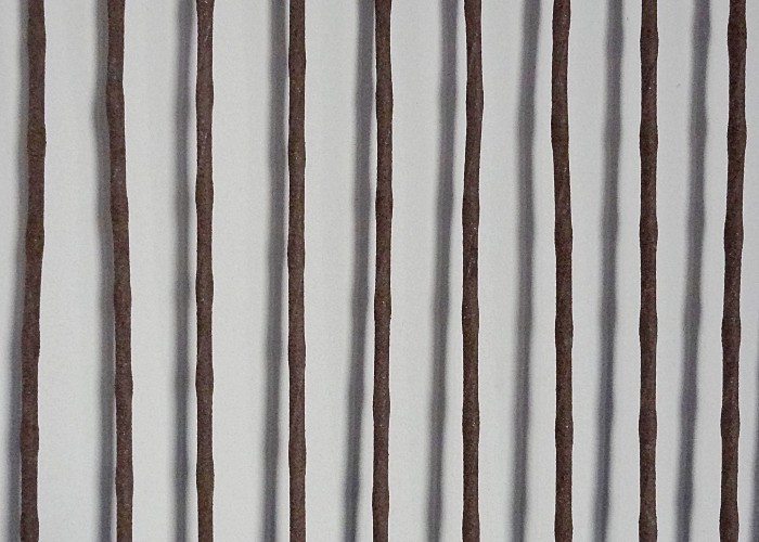 Image of brown rods on a white background.