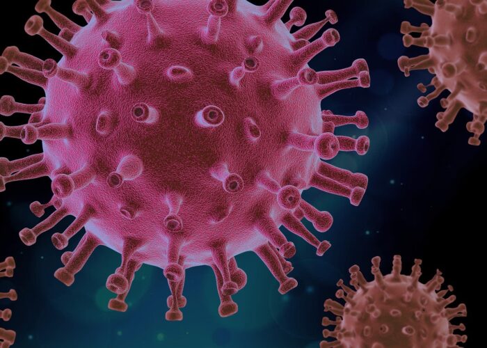 A rendering of a coronavirus.