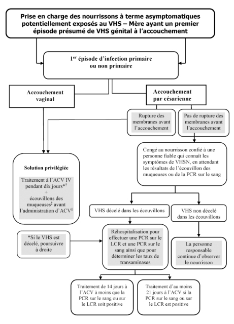 La Prevention Et La Prise En Charge Des Infections Par Le Virus Herpes Simplex Societe Canadienne De Pediatrie La Prevention Et La Prise En Charge Des Infections Par Le Virus Herpes Simplex Societe Canadienne De Pediatrie