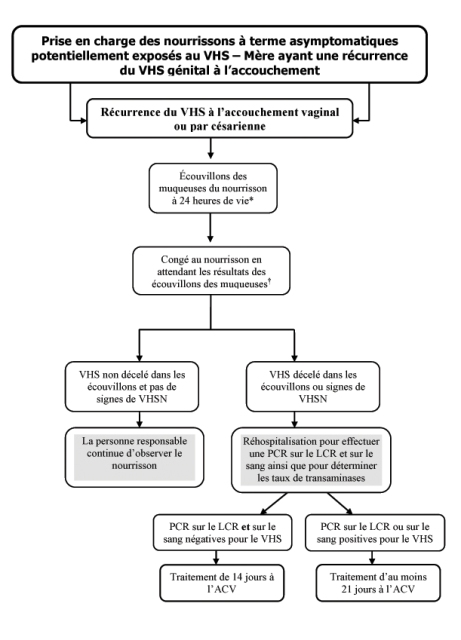 La prévention et la prise en charge des infections par le virus ...