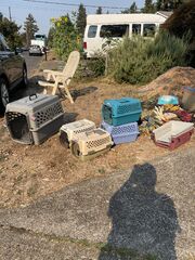 IMG_3881.jpeg