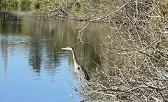 IMG_3956.jpeg