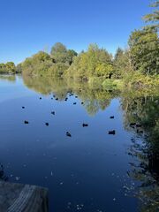 IMG_3958.jpeg