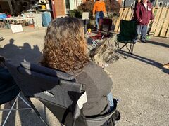 IMG_8183.jpeg