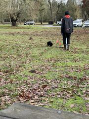 IMG_4101.jpeg