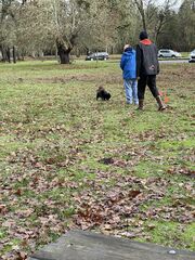 IMG_4102.jpeg