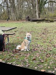 IMG_4111.jpeg