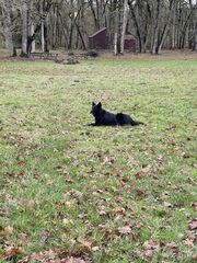 IMG_4117.jpeg