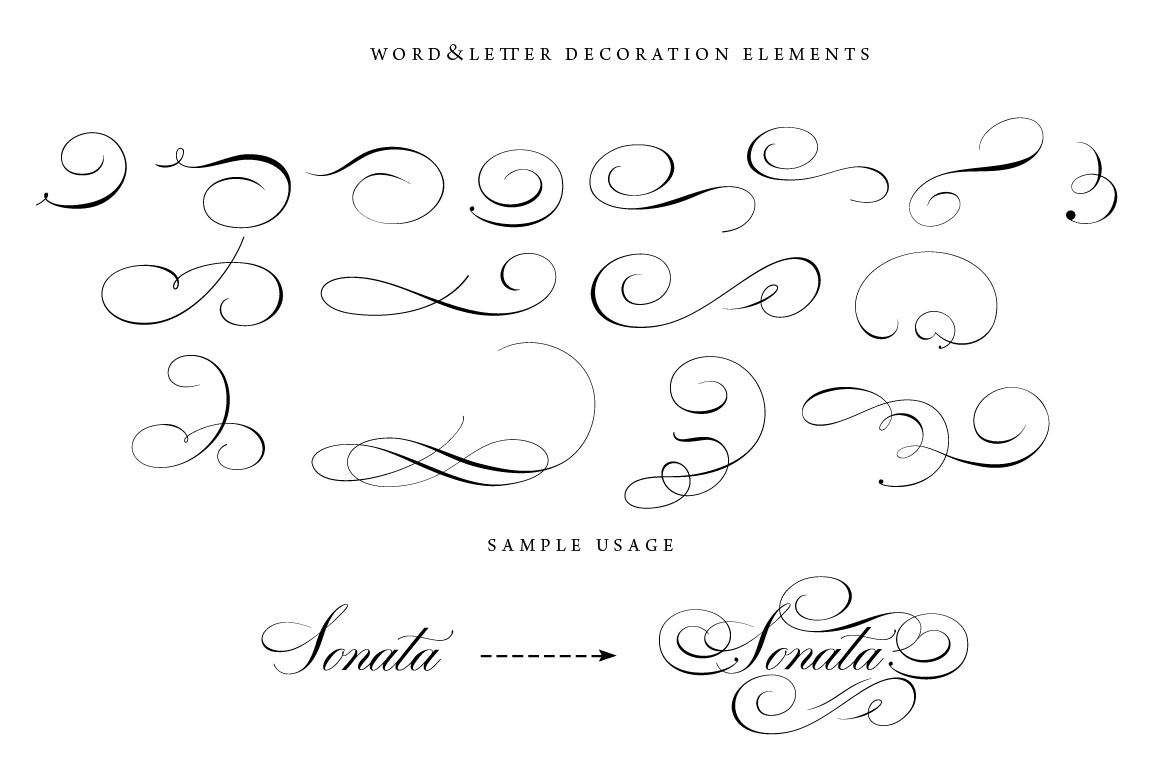 43 Calligraphic Flourishes Bundle Illustrations on Creative Market