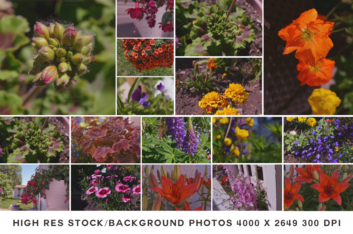 floral-pack-5-o.png