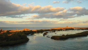 Hints Of The Chesapeake Bay’s Brighter Future