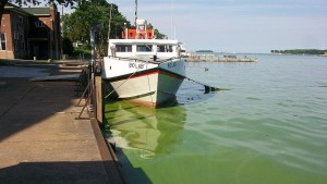 MSU: Early Lake Erie Algal Bloom Projections Positive