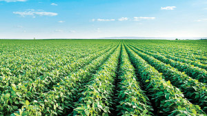 Pinnacle Agriculture Launches Mission Seed Solutions
