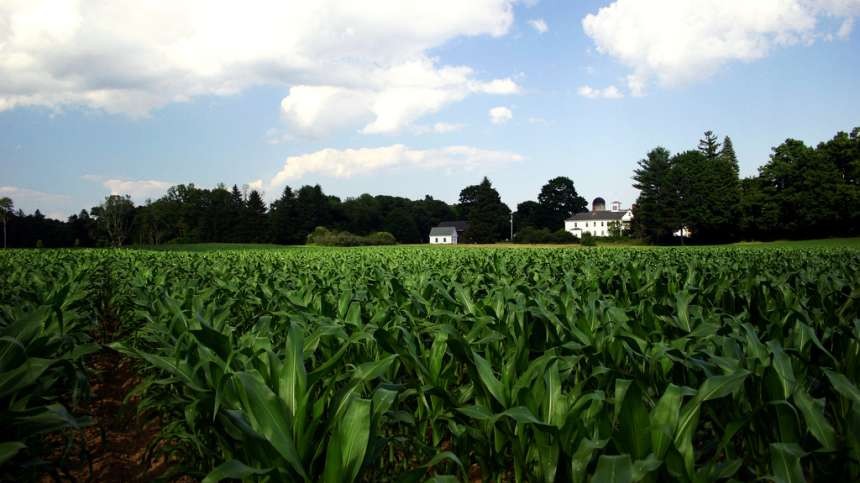 Facing Ag Industry Challenges