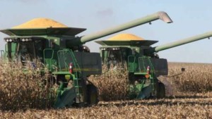 Microbes Added To Seeds Could Boost Crop Production