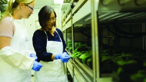 What’s Up Next For DuPont
