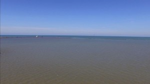 USDA Chips In Additional $41 Million To Clean Up Lake Erie