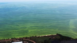 Lake Erie Water Researcher: Everyone Needs To Step It Up