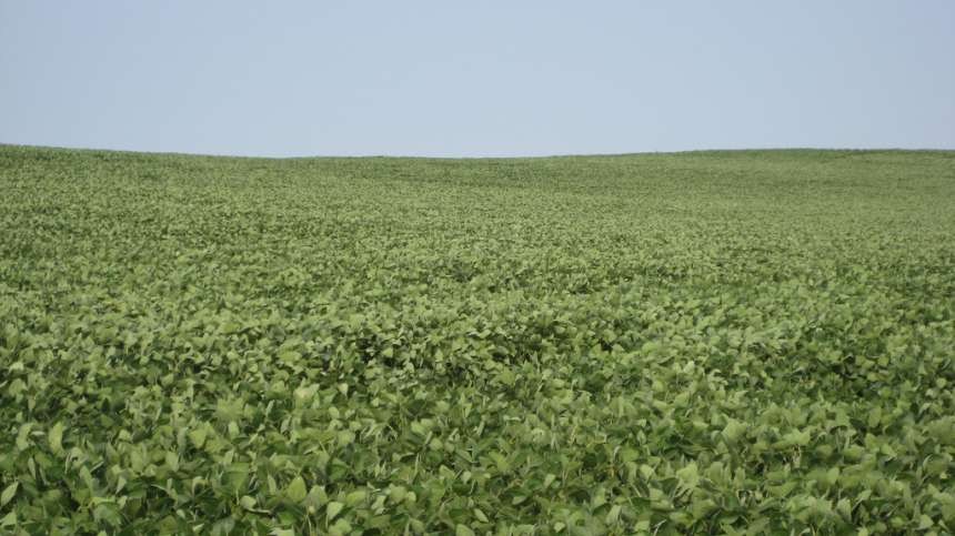 Ohio Soybean Farmers Celebrate Winning Two R&D 100 Awards
