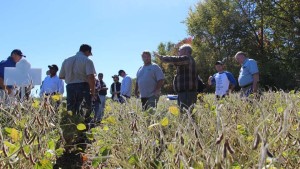 Nutrient Stewardship: Selling Growers Still Key For Adoption