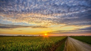 3 Financial Trends To Watch In Agriculture