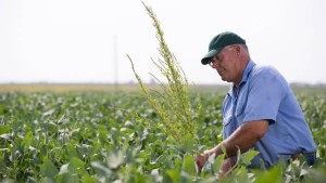 Top 10 Strategies for Managing Herbicide Resistance
