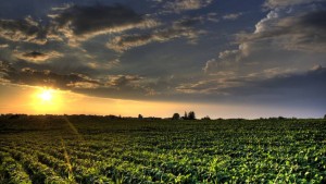 5 Reasons Why Agriculture is in Worse Shape Than You Think