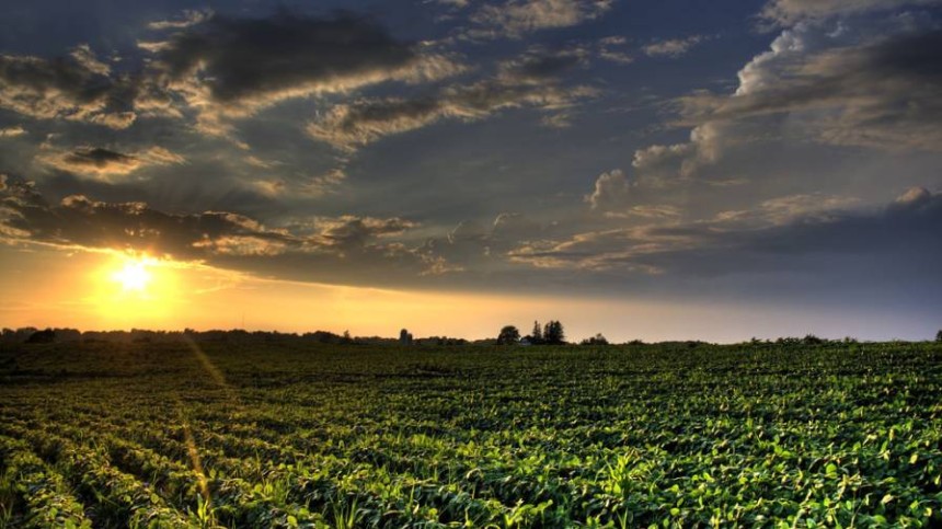 Making Sense of Regenerative Agriculture and Measuring Its Impact