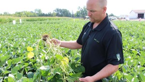 WinField United Expands Its Cloud-Based Data-Management System