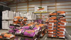 Seed in storage 