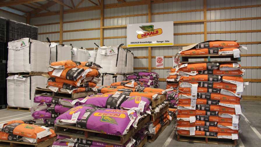 Seed in storage 