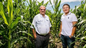 Measure Of Age In Soil Nitrogen Could Help Precision Agriculture