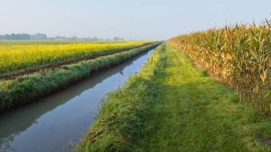Study: Saturated Buffers Reduce Nitrates From Subsurface Field Drainage Systems