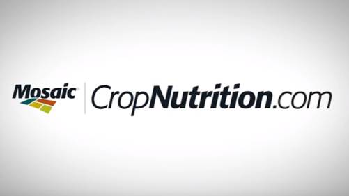 CropNutrition.com Now Mobile Optimized
