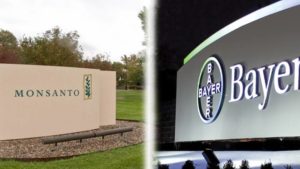Bayer-Monsanto: Life, LibertyLink, And The Pursuit Of Regulatory Approval
