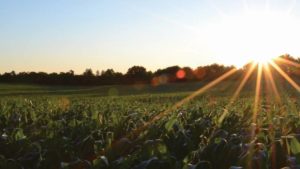 Koch Agronomic Services Expands SUPERU Fertilizer Production Capacity