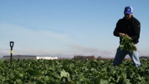 Coronavirus Conversations: Ag Service Providers Cope With the Unknown