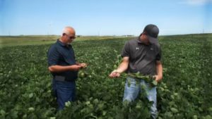 This Is Not Your Father’s World Of Nitrogen Management