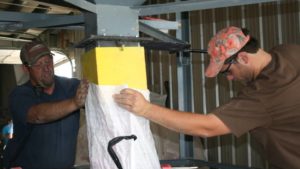 Slideshow: Seed Treatments In The Field