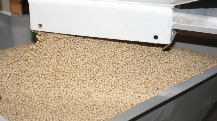 Marrone Bio Innovations, Groundwork BioAg Bio-stacked Microbial Seed Treatments Result In Increased Yields