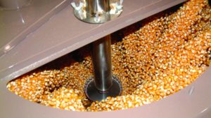 5 Steps for Stewardship of Treated Seed