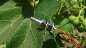 Yara, Pessl Instruments Form New Partnership To Improve Water And Nutrient Use Efficiency