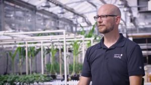 Biologicals Can Help Increase Phosphate Availability