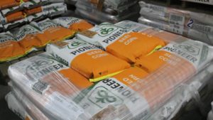 Pioneer Brand Seeds Adds More Than 60 New High-Yielding Hybrids to Its Corn Lineup
