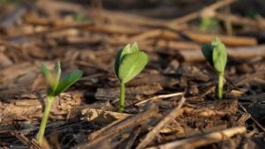 New Agricultural Carbon Alliance Brings Immediate Revenue-Accelerating Opportunities to Growers