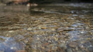 Local Farmers’ Watershed Initiative: Continuous Improvement Is Possible In 5 Key Areas