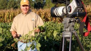 Insecticides: How To Win With A Smaller Arsenal