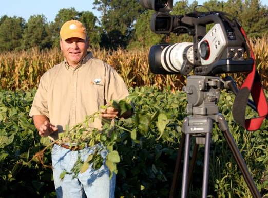 Insecticides: How To Win With A Smaller Arsenal