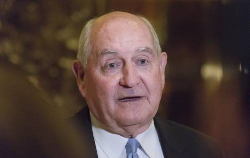 Trump Formally Picks Perdue As Agriculture Secretary